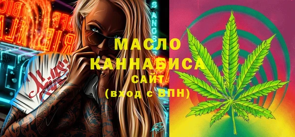 хмурый Инсар