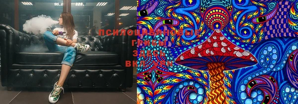 хмурый Инсар