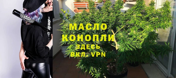 хмурый Инсар