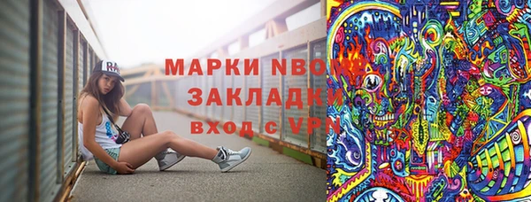 хмурый Инсар