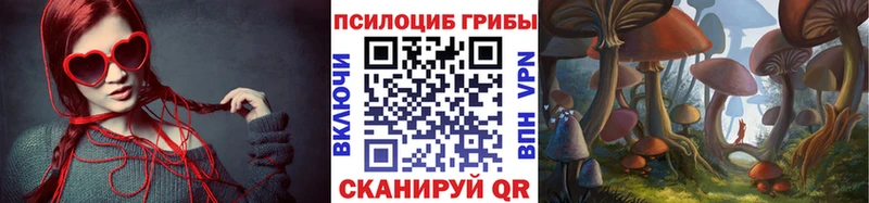 Купить закладки  Сорочинск  Псилоцибиновые грибы прущие грибы 
