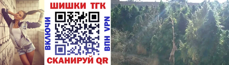 Купить  Сорочинск  Канабис MAZAR 